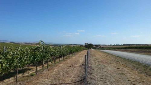 barossa valley gravel cycling