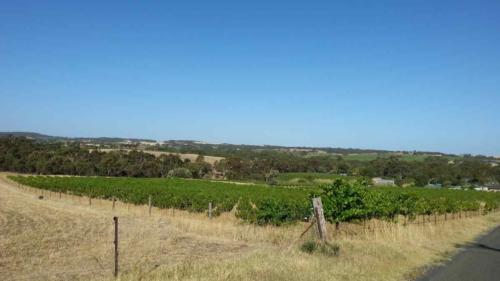 barossa valley gravel cycling