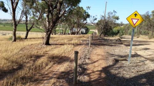 barossa valley gravel cycling