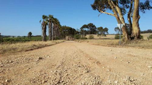 barossa valley gravel cycling
