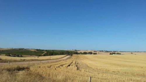 barossa valley gravel cycling