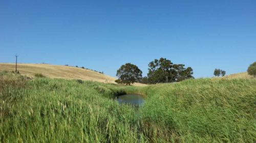 barossa valley gravel cycling