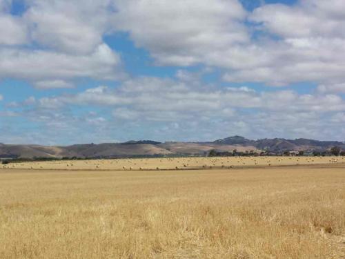 barossa valley gravel cycling