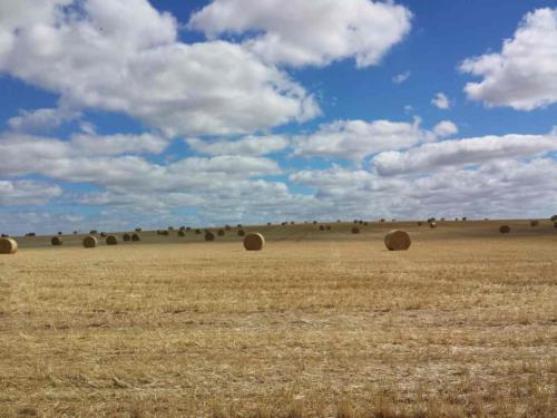 barossa valley gravel cycling