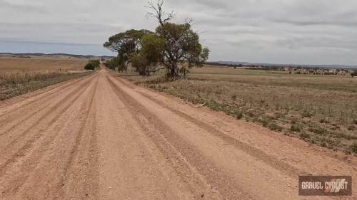 Gravel Cycling in the Barossa Valley