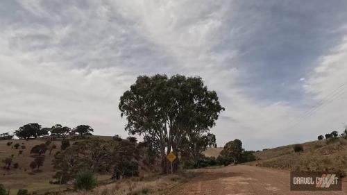 Gravel Cycling in the Barossa Valley