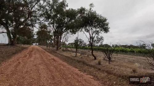 Gravel Cycling in the Barossa Valley