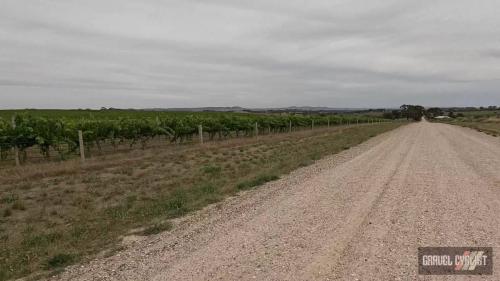Gravel Cycling in the Barossa Valley