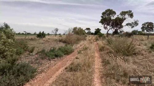 Gravel Cycling in the Barossa Valley