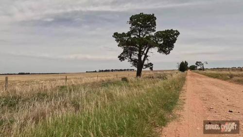 Gravel Cycling in the Barossa Valley