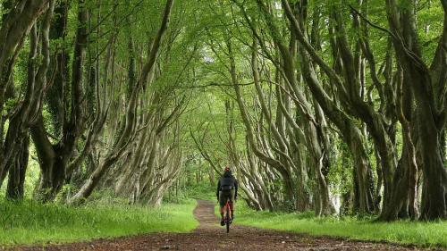 bikepacking scotland guidebook review