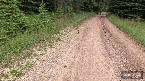 Trek Travel Black Hills Gravel Bike Tour