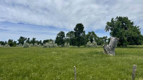 Trek Travel Black Hills Gravel Bike Tour