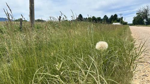 Trek Travel Black Hills Gravel Bike Tour