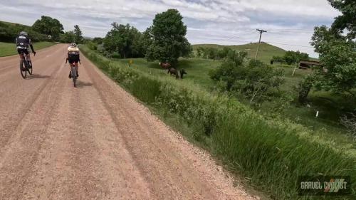 Trek Travel Black Hills Gravel Bike Tour