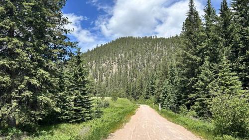 Trek Travel Black Hills Gravel Bike Tour