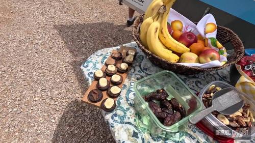 Trek Travel Black Hills Gravel Bike Tour