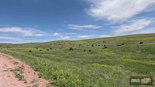 Trek Travel Black Hills Gravel Bike Tour