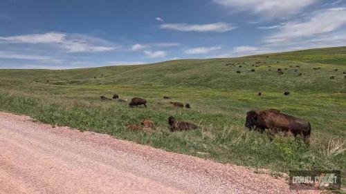 Trek Travel Black Hills Gravel Bike Tour