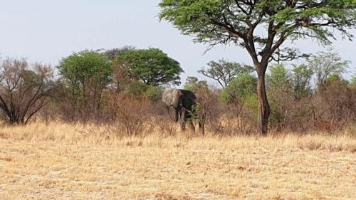 North Cape of Norway to Cape Town of South Africa 2019