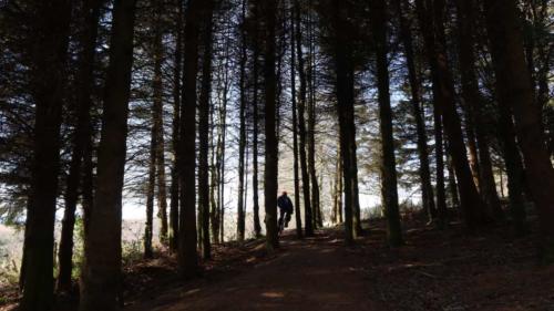 Cateran Ecomuseum scotland