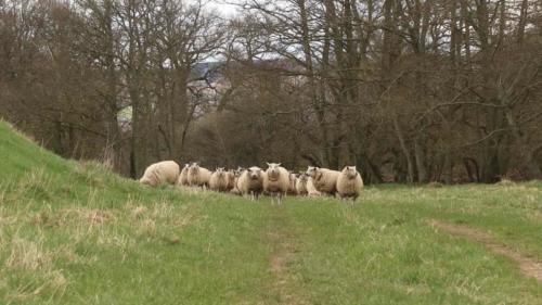 Cateran Ecomuseum scotland