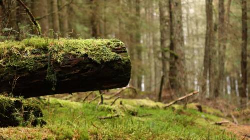 Cateran Ecomuseum scotland