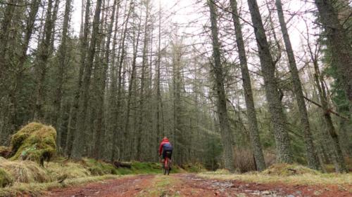 Cateran Ecomuseum scotland