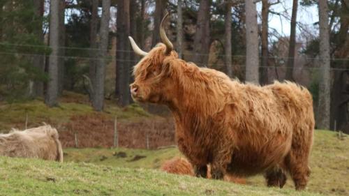 Cateran Ecomuseum scotland