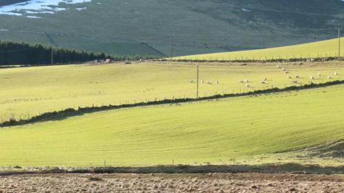 Cateran Ecomuseum scotland