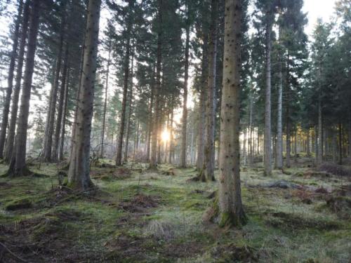 Cateran Ecomuseum scotland