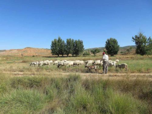 camino del cid circular routes