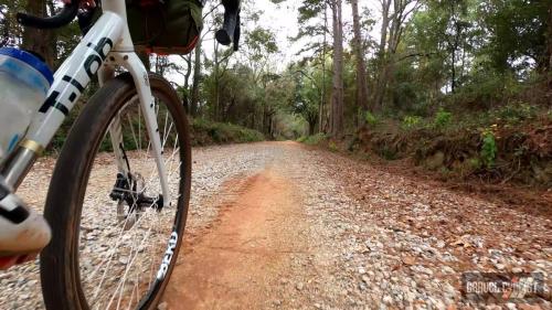 berd sparrow wheel review