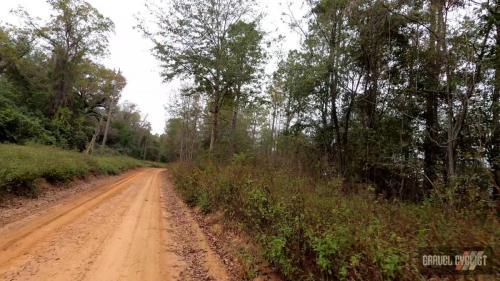 tour of climax georgia