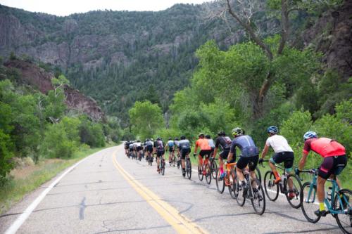 2019 crusher in the tushar