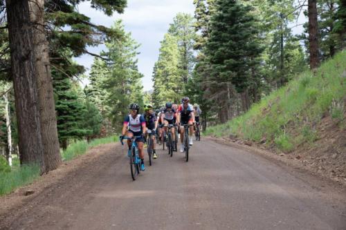 2019 crusher in the tushar