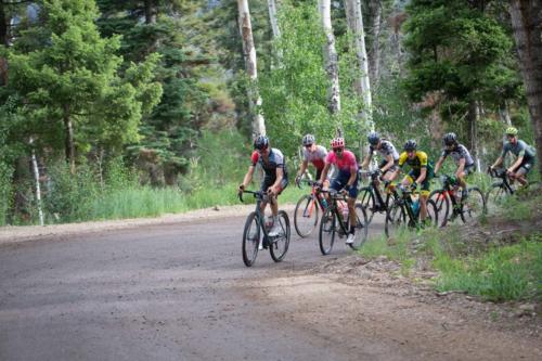 2019 crusher in the tushar