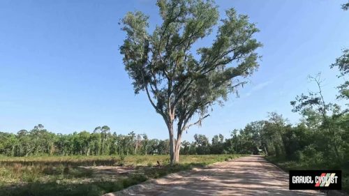 Cycling during the Florida Drought