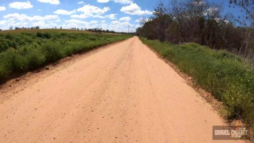 2022 dirty pecan monticello florida