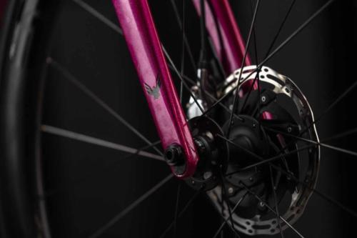 allied cycle works echo review