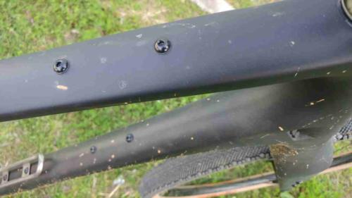 evil chamois hagar review