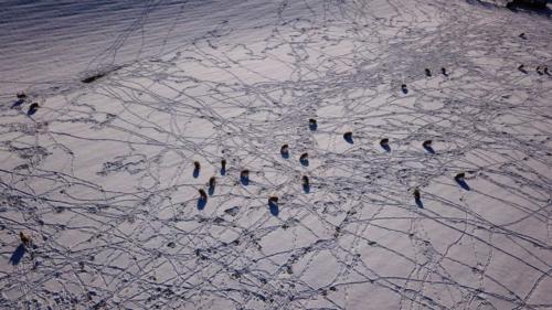 explore your boundaries markus stitz