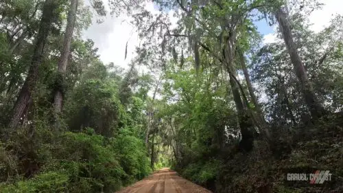farm roads of southern georgia