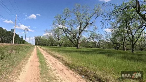 farm roads of southern georgia