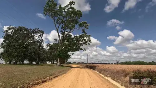 farm roads of southern georgia
