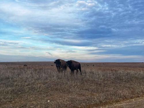 flint hills ultra gravel route and tour