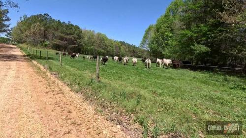 florence alabama gravel cycling