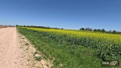 florence alabama gravel cycling