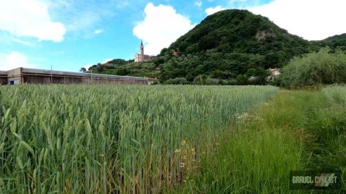 glory roads italy cittadella