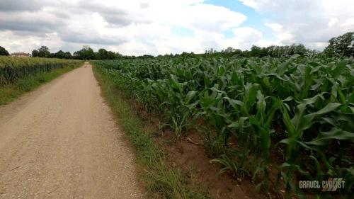 glory roads italy cittadella